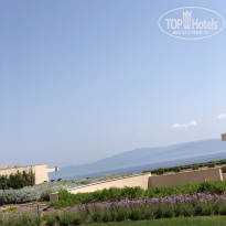 фото из отзыва ID 1782252