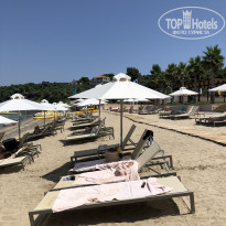 фото из отзыва ID 1782252