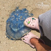 фото из отзыва ID 1782269