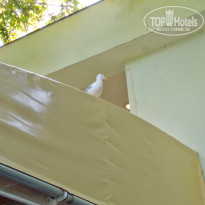 фото из отзыва ID 1782280