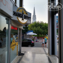 фото из отзыва ID 1782304