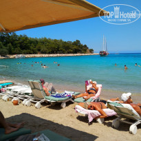 фото из отзыва ID 1782304