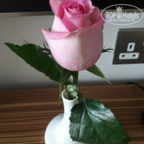 фото из отзыва ID 1782315