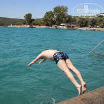 фото из отзыва ID 1782290