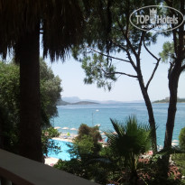 фото из отзыва ID 1782290