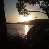 фото из отзыва ID 1782290