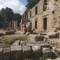 фото из отзыва ID 1782518