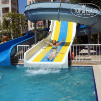 фото из отзыва ID 1782518