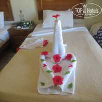 фото из отзыва ID 1782535