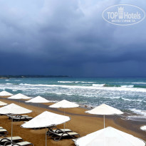 фото из отзыва ID 1782650