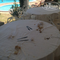 фото из отзыва ID 1782655