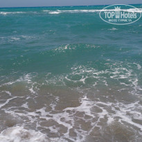 фото из отзыва ID 1782670