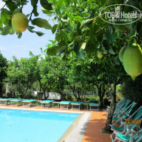 фото из отзыва ID 1782683