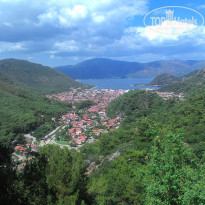 фото из отзыва ID 1782701