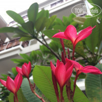 фото из отзыва ID 1782705