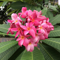 фото из отзыва ID 1782705