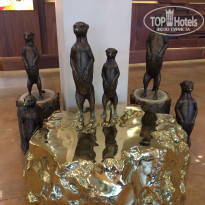 фото из отзыва ID 1782705