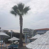 фото из отзыва ID 1782711