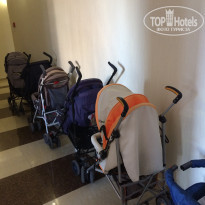 фото из отзыва ID 1782853