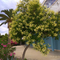 фото из отзыва ID 1782863