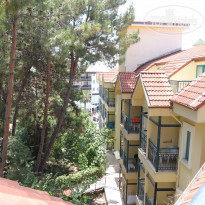 фото из отзыва ID 1782420