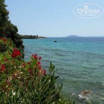 фото из отзыва ID 1782945