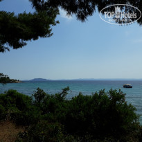 фото из отзыва ID 1782945