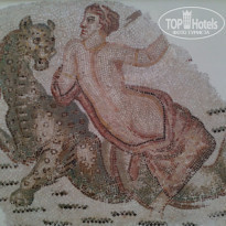 фото из отзыва ID 1782997