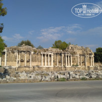 фото из отзыва ID 1783093