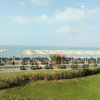 фото из отзыва ID 1783131