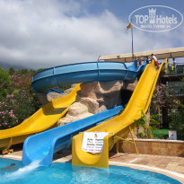 фото из отзыва ID 1783133