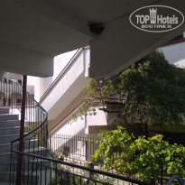 фото из отзыва ID 1783168