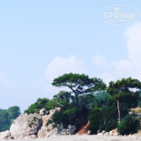 фото из отзыва ID 1783183