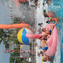 фото из отзыва ID 1783215