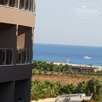 фото из отзыва ID 1783300