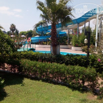 фото из отзыва ID 1783450