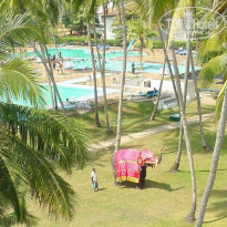 фото из отзыва ID 1783488