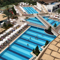 фото из отзыва ID 1783597