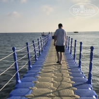 фото из отзыва ID 1783597