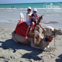 фото из отзыва ID 1783864