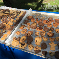 фото из отзыва ID 1781873