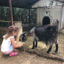 фото из отзыва ID 1781873