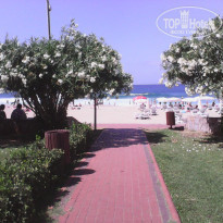 фото из отзыва ID 1784039