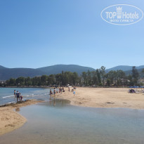 фото из отзыва ID 1784128