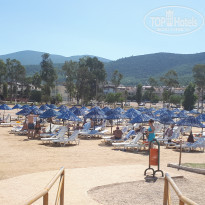 фото из отзыва ID 1784128