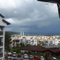 фото из отзыва ID 1784128