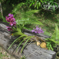 фото из отзыва ID 1784182