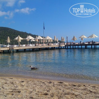 фото из отзыва ID 1783448