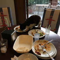 фото из отзыва ID 1784349