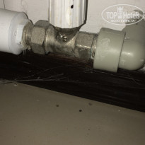 фото из отзыва ID 1784365